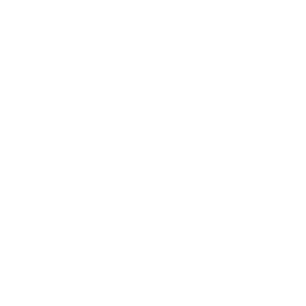 AIRCRAFT DETAIL
